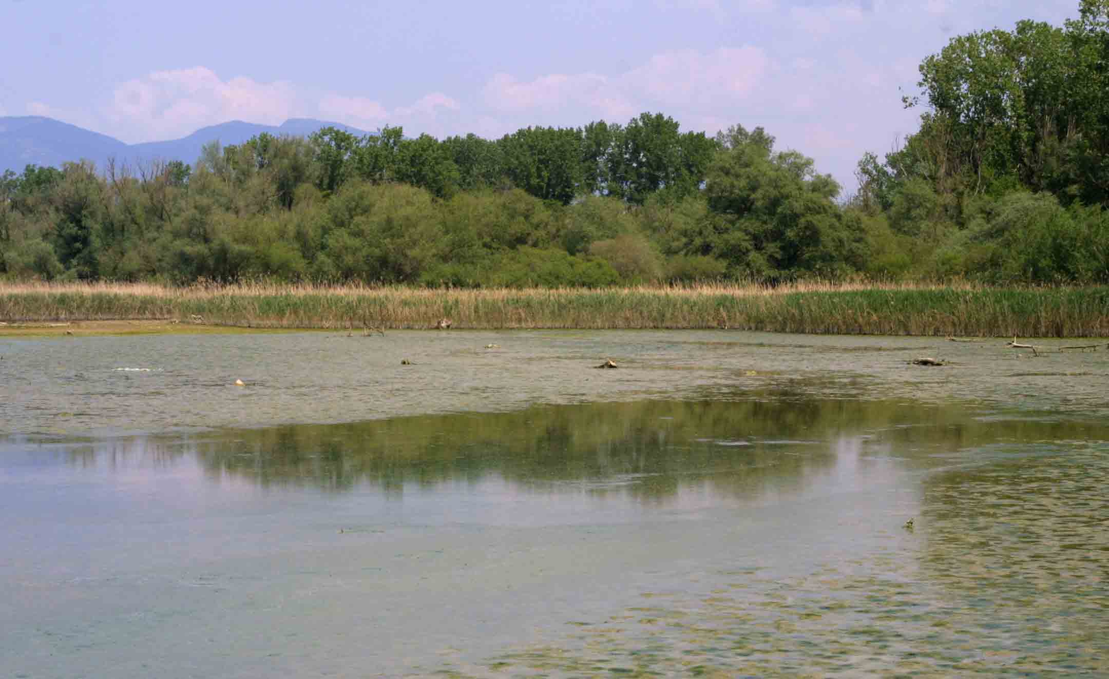 Laghi.....dell'' UMBRIA